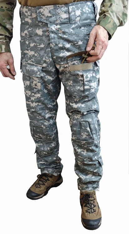 1229