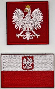 Orzeł i flaga z godłem.jpeg